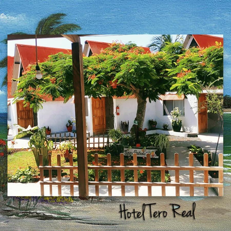 Hostal Tero Real بْوُرتو فيلاميل المظهر الخارجي الصورة