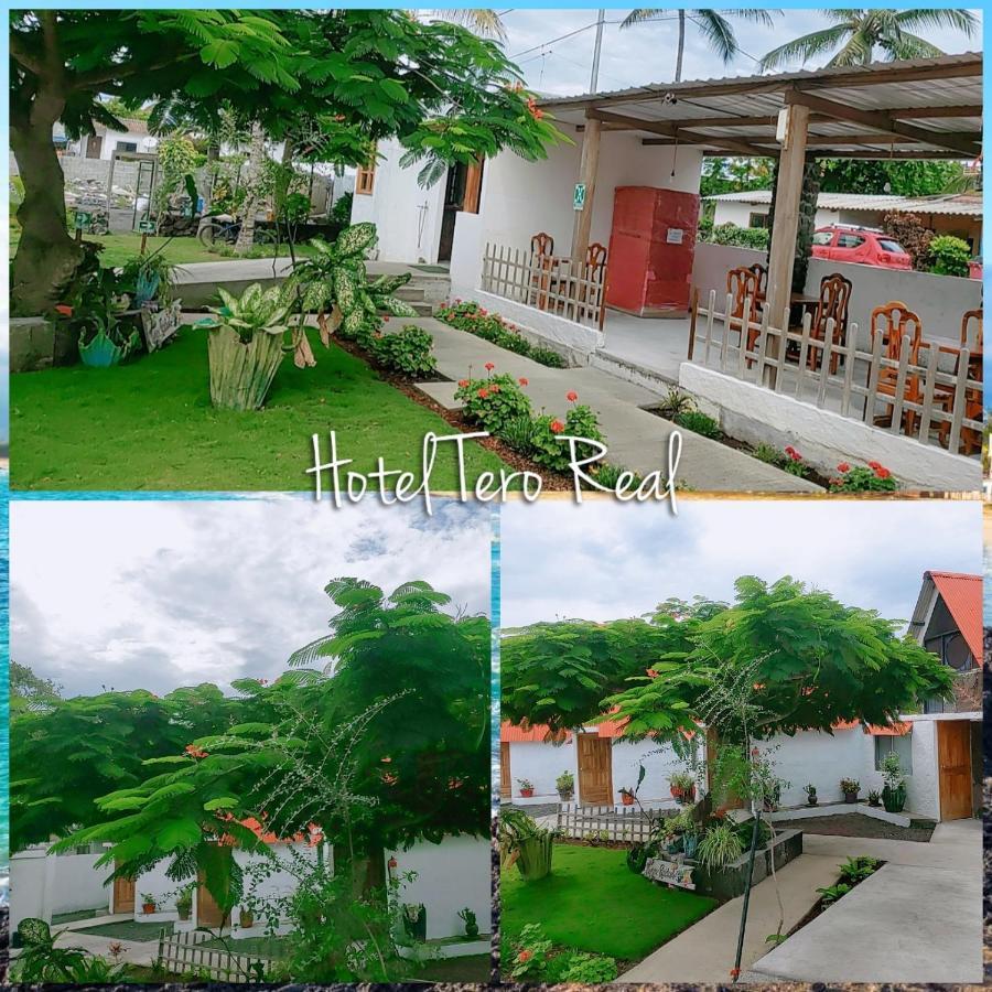 Hostal Tero Real بْوُرتو فيلاميل المظهر الخارجي الصورة
