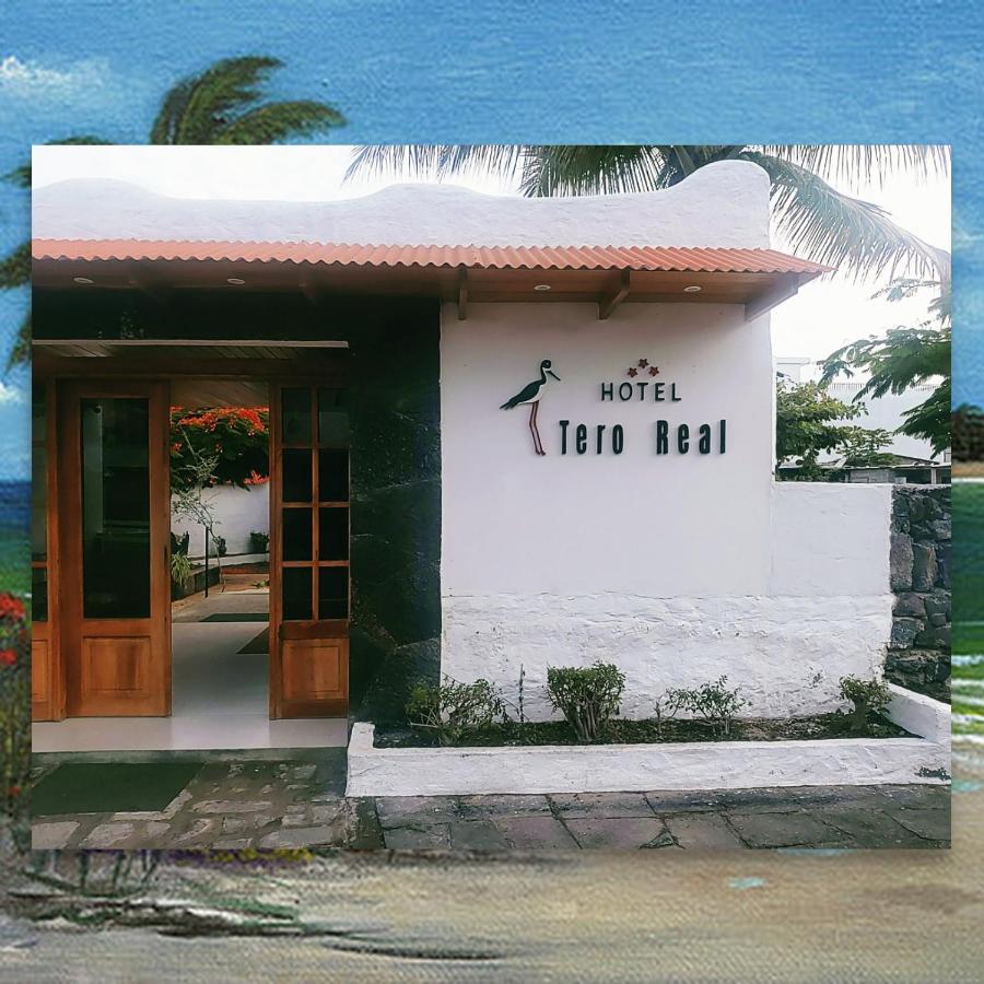 Hostal Tero Real بْوُرتو فيلاميل المظهر الخارجي الصورة