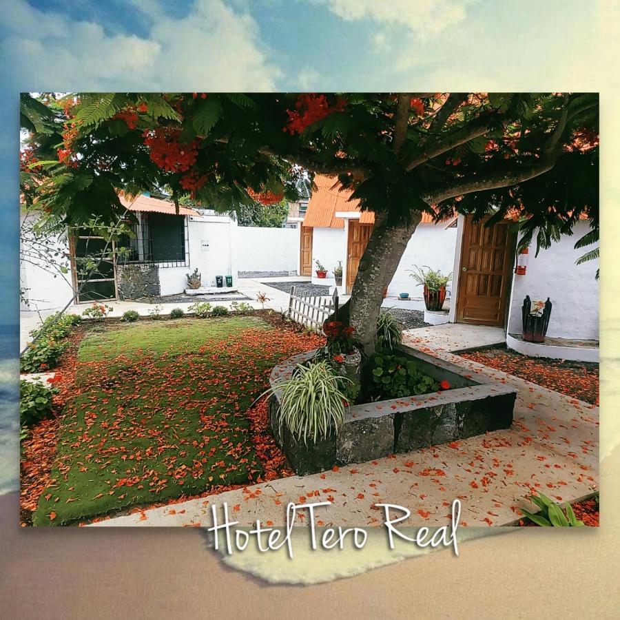 Hostal Tero Real بْوُرتو فيلاميل المظهر الخارجي الصورة