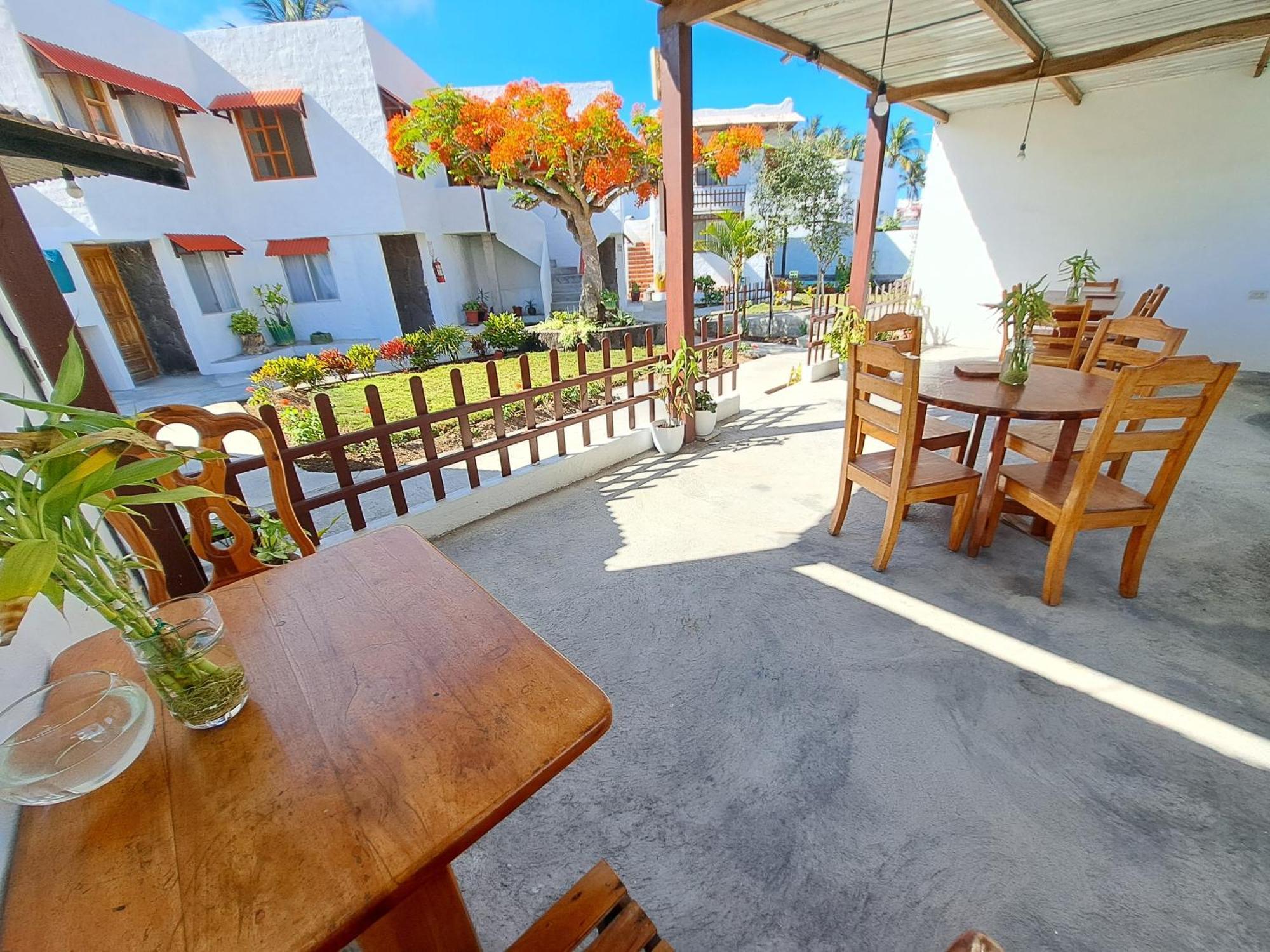 Hostal Tero Real بْوُرتو فيلاميل المظهر الخارجي الصورة